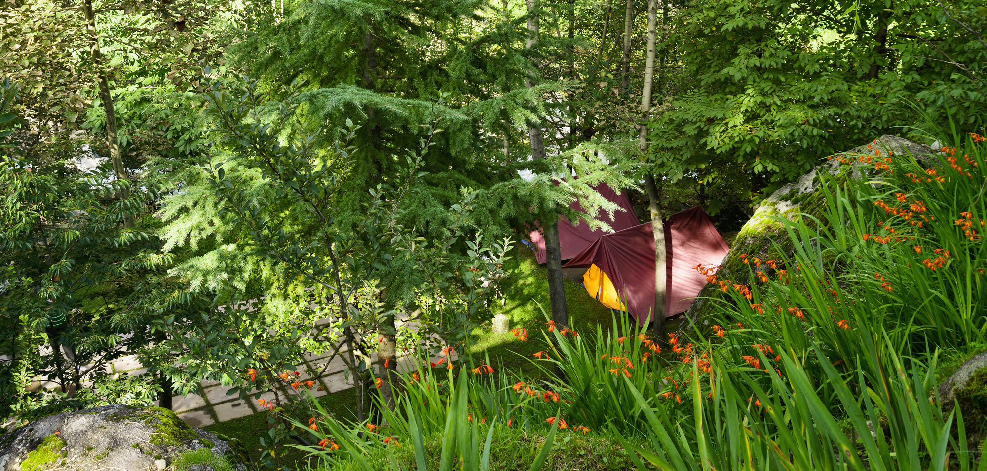 Solang Valley Resort Palchān Exterior foto