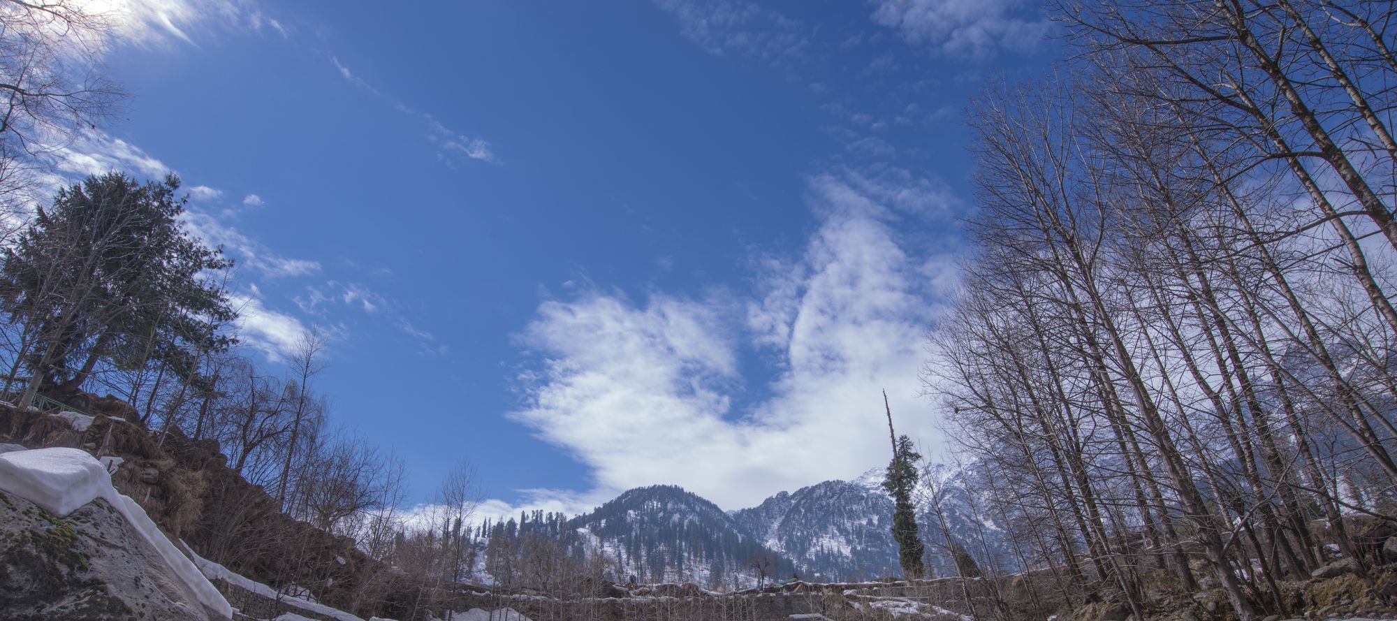 Solang Valley Resort Palchān Exterior foto