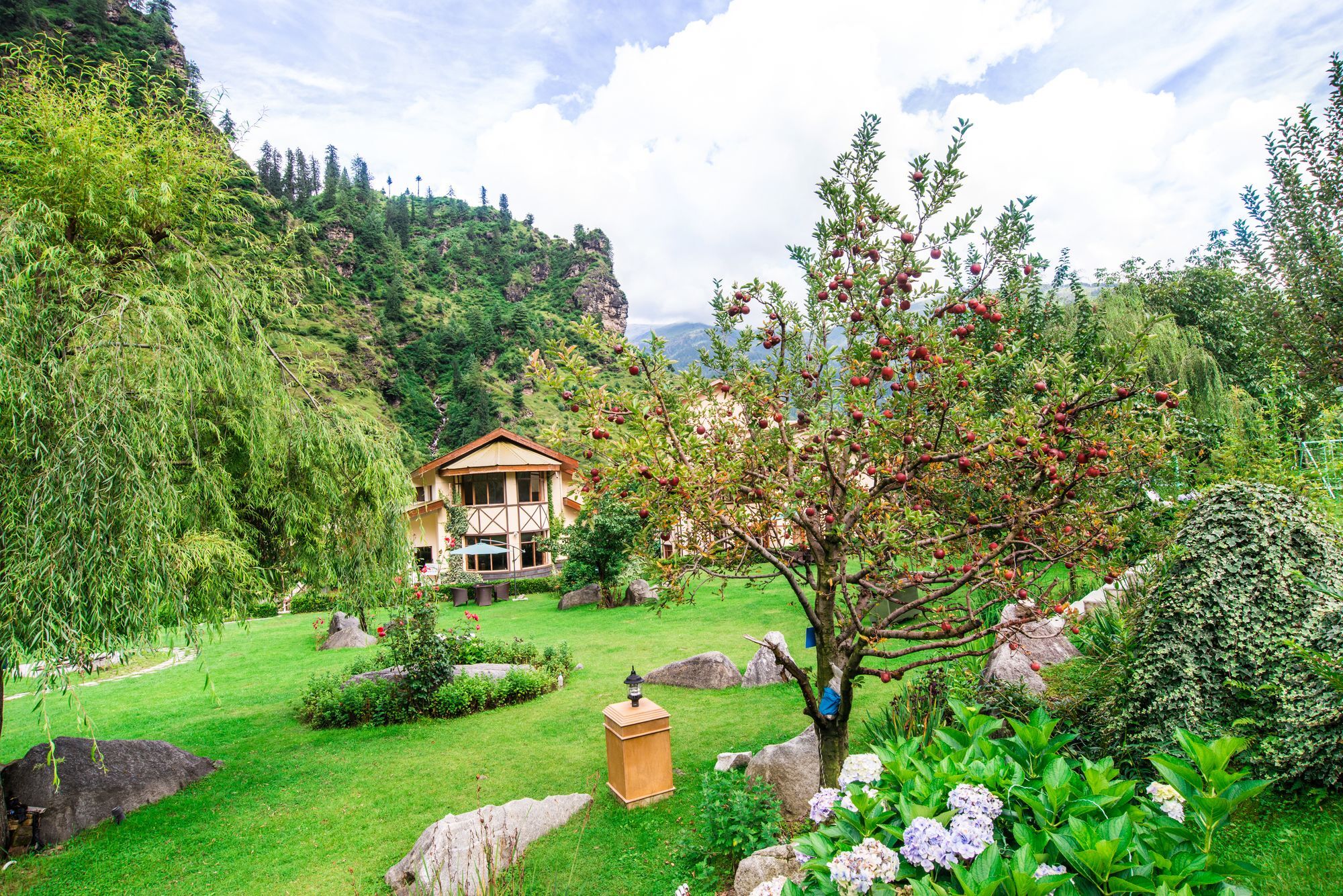 Solang Valley Resort Palchān Exterior foto