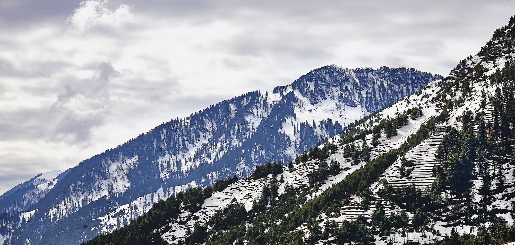 Solang Valley Resort Palchān Exterior foto