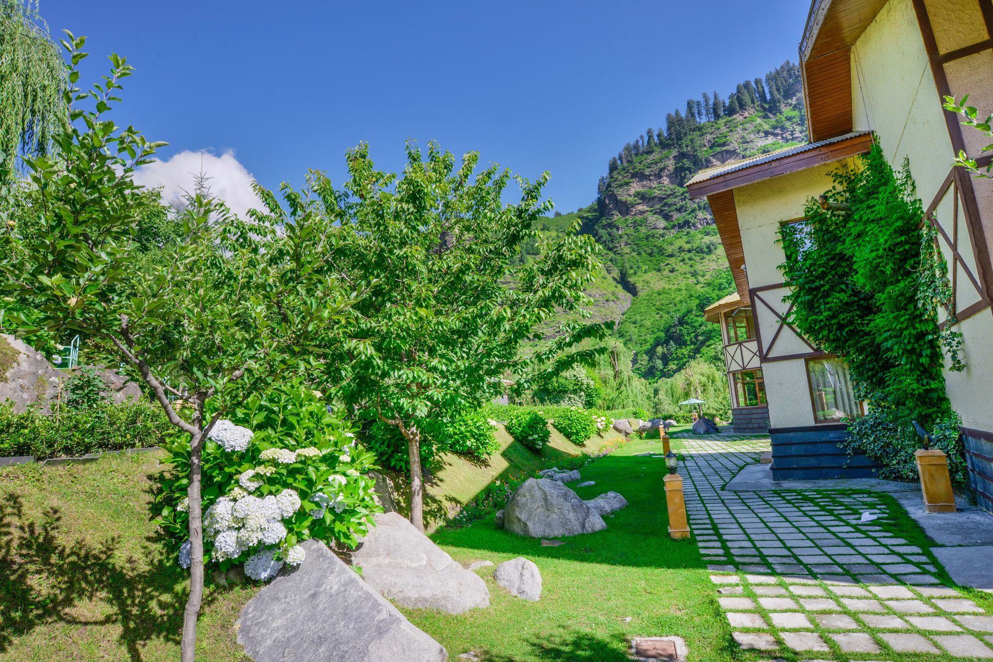 Solang Valley Resort Palchān Exterior foto