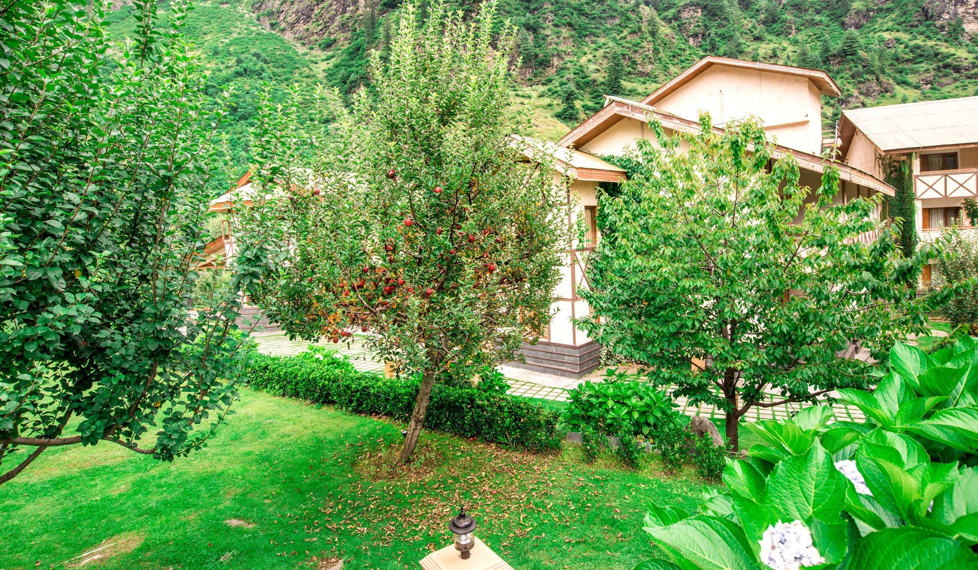 Solang Valley Resort Palchān Exterior foto